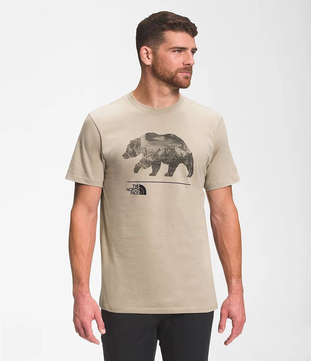 The north clearance face bearscape